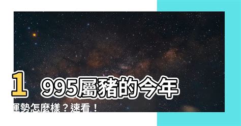 1995屬豬男名字|【1995年 五行】1995年五行屬什麼？揭曉你的命理密碼！